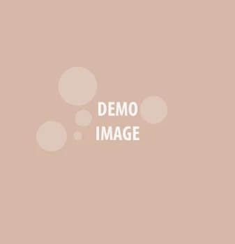 demo-image-1200x1200