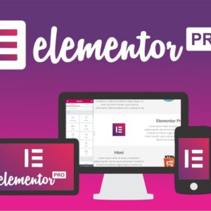 Elementor Pro 1